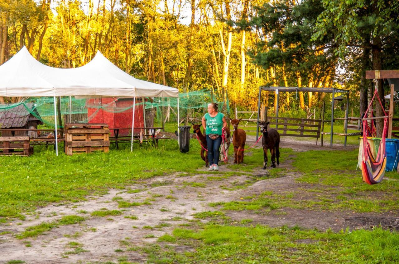 Glamping Z Alpakami Hotell Jankowice  Eksteriør bilde